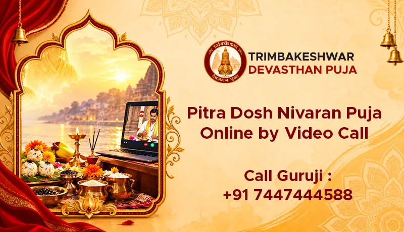 Pitra Dosh Nivaran Puja Online by Video Call