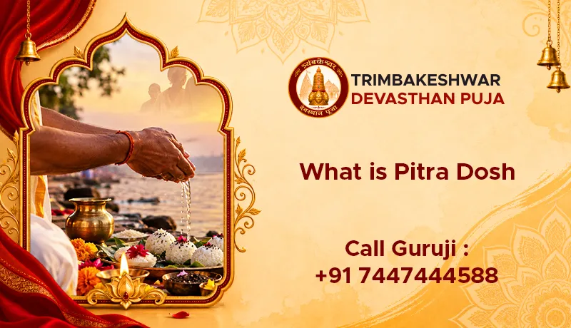 What is Pitra Dosh