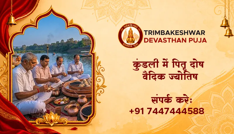 कुंडली में पितृ दोष वैदिक ज्योतिष